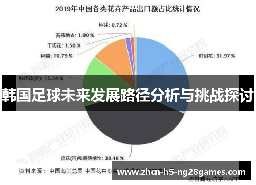 韩国足球未来发展路径分析与挑战探讨 韩国足球未来发展路径分析与挑战探讨